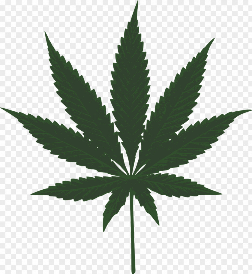 Pot Leaf Hash, Marihuana & Hemp Museum Medical Cannabis Clip Art PNG