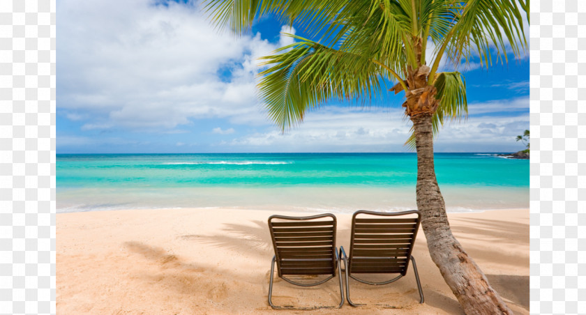 Beach Waikiki Desktop Wallpaper Tropical Islands Resort Summer Vacation PNG
