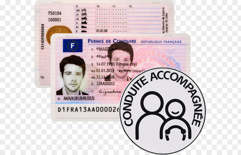 Driving Conduite Supervisée Graduated Driver Licensing Driver's License Education PNG
