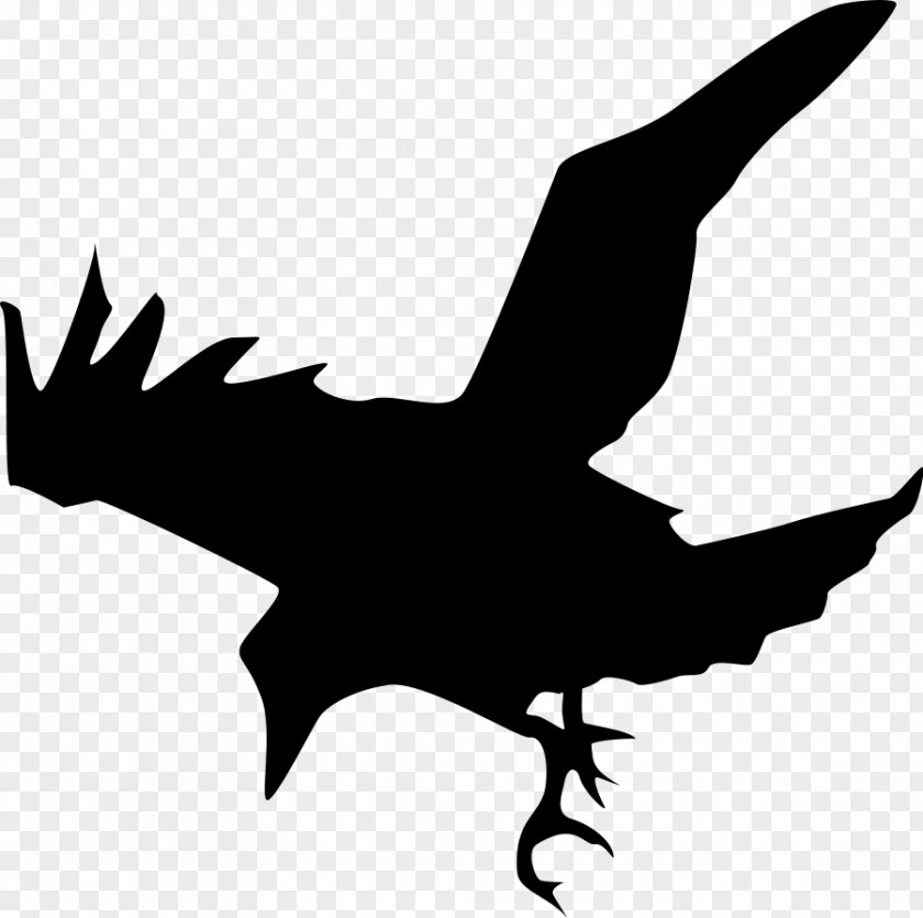 Flying Silhouette Common Raven Clip Art PNG