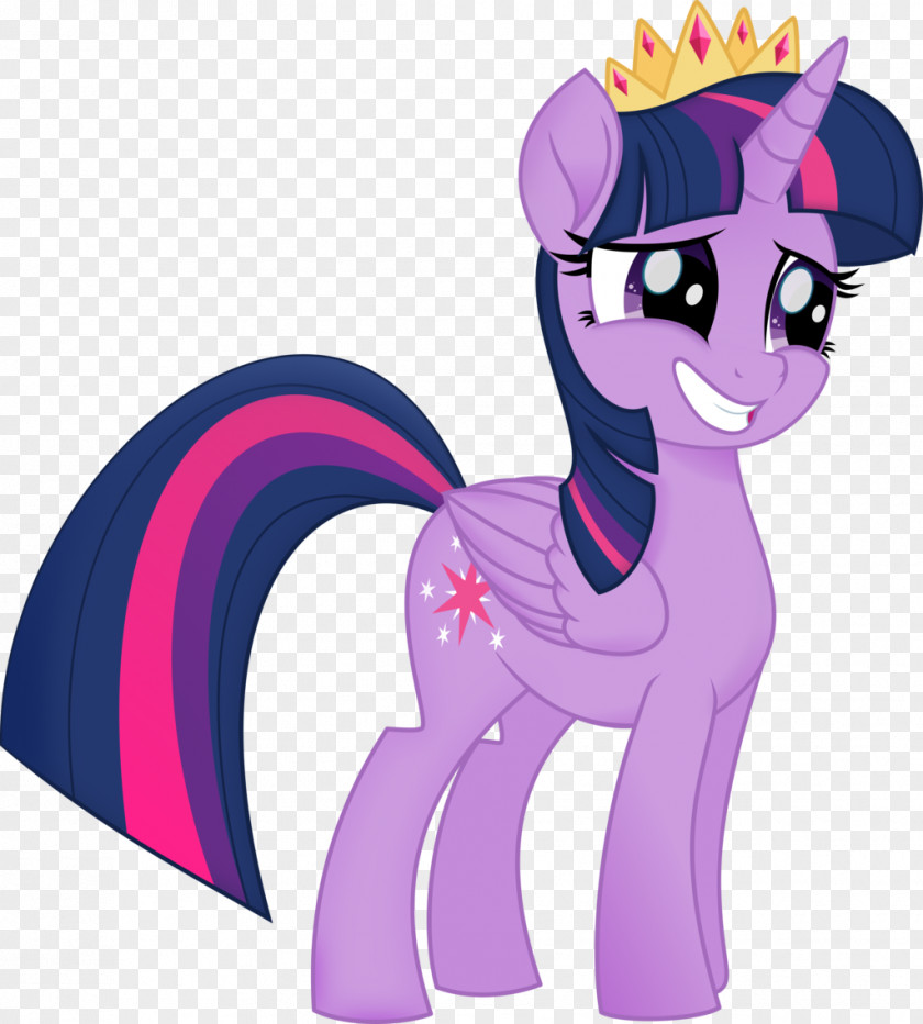 Sparkle Twilight Rainbow Dash Pinkie Pie Rarity Applejack PNG