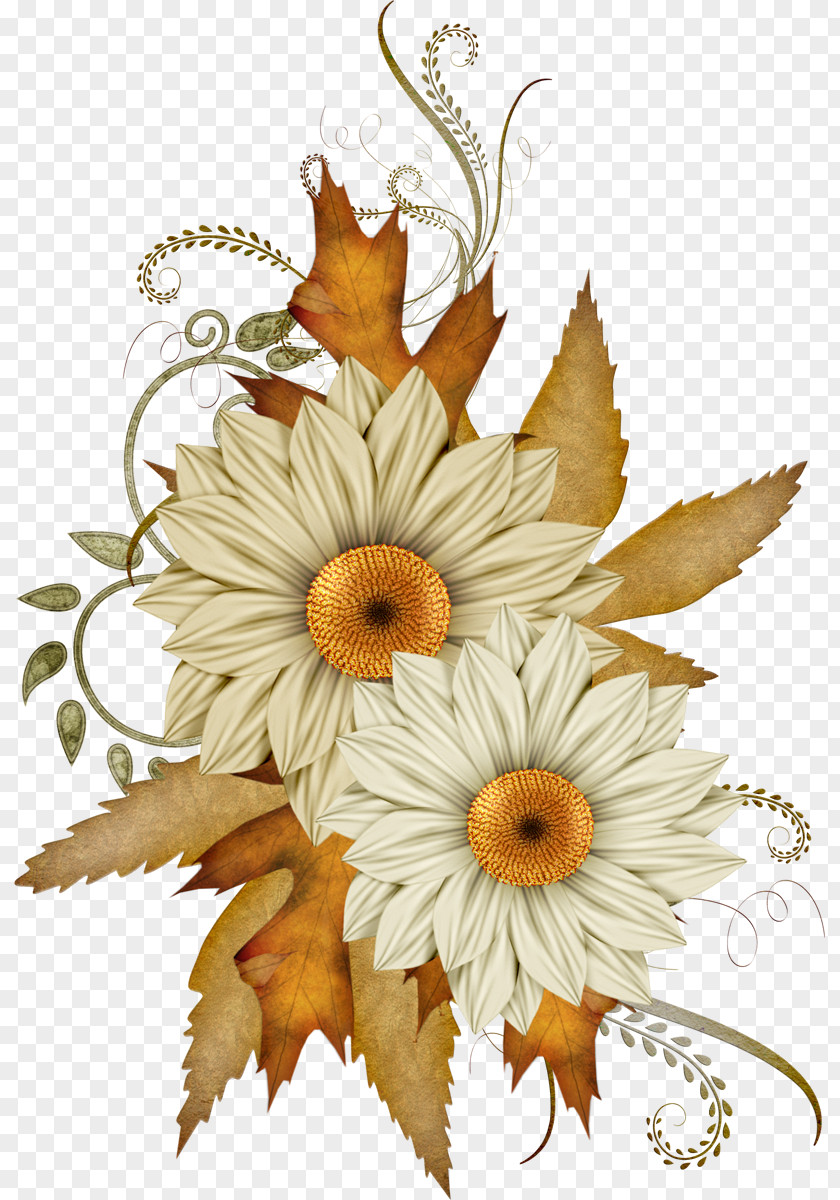 Camomile Flower Bouquet Autumn Clip Art PNG