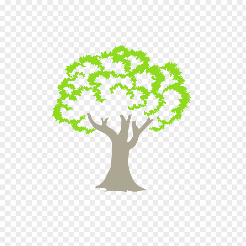 Green Tree Logo Woody Plant Anacardiaceae Branch PNG