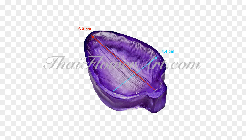 Tulip Petals Clay White Magenta Color Purple PNG