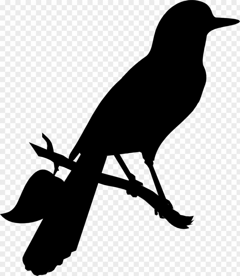 American Crow Clip Art Advertising Fauna Silhouette PNG