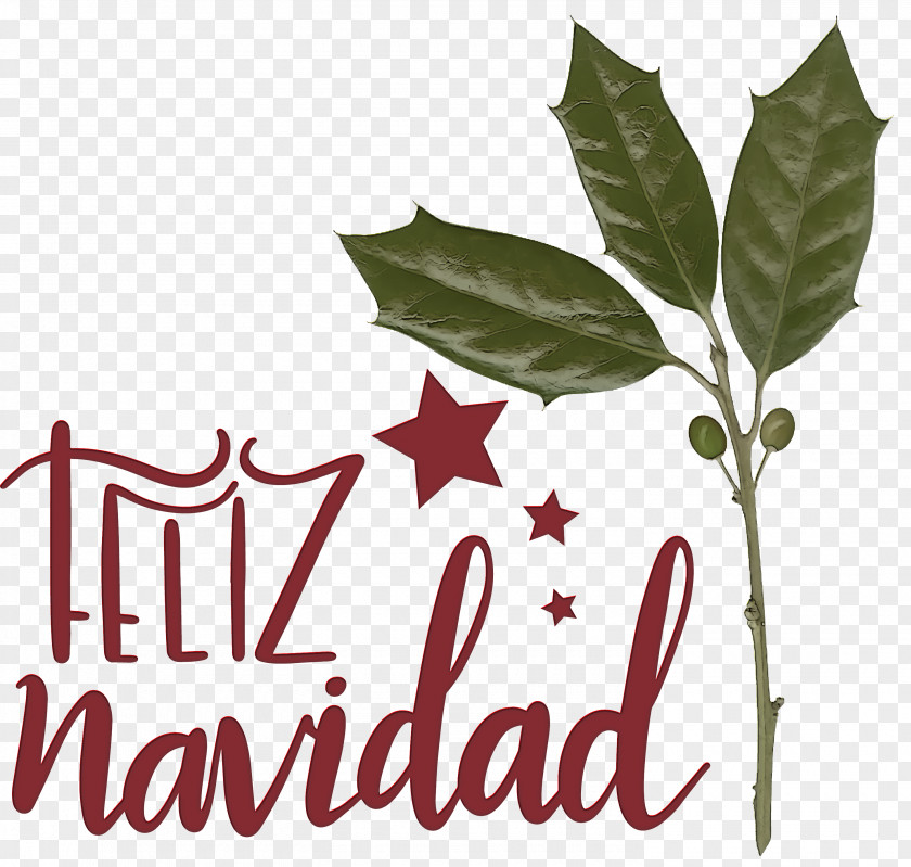 Feliz Navidad Merry Christmas PNG