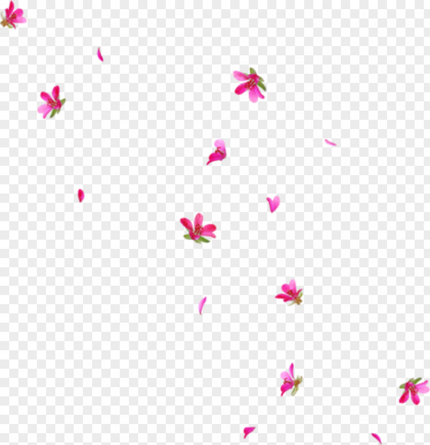 Flower Clip Art Vector Graphics Desktop Wallpaper PNG