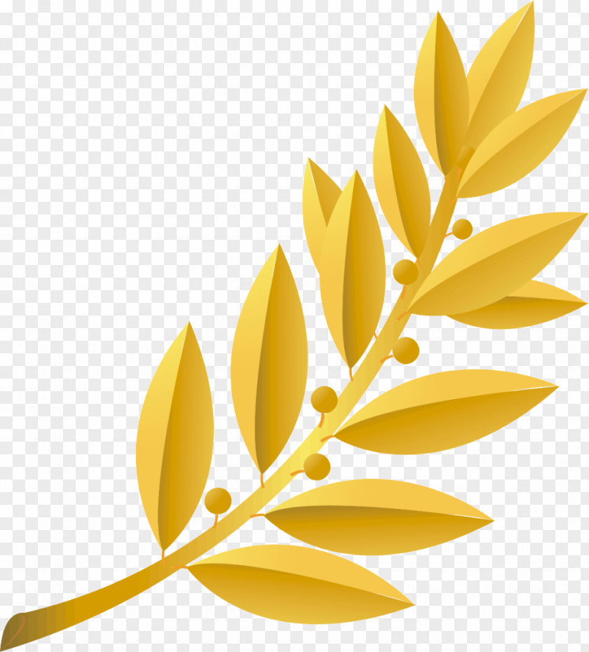 Plant Stem Branch Yellow PNG