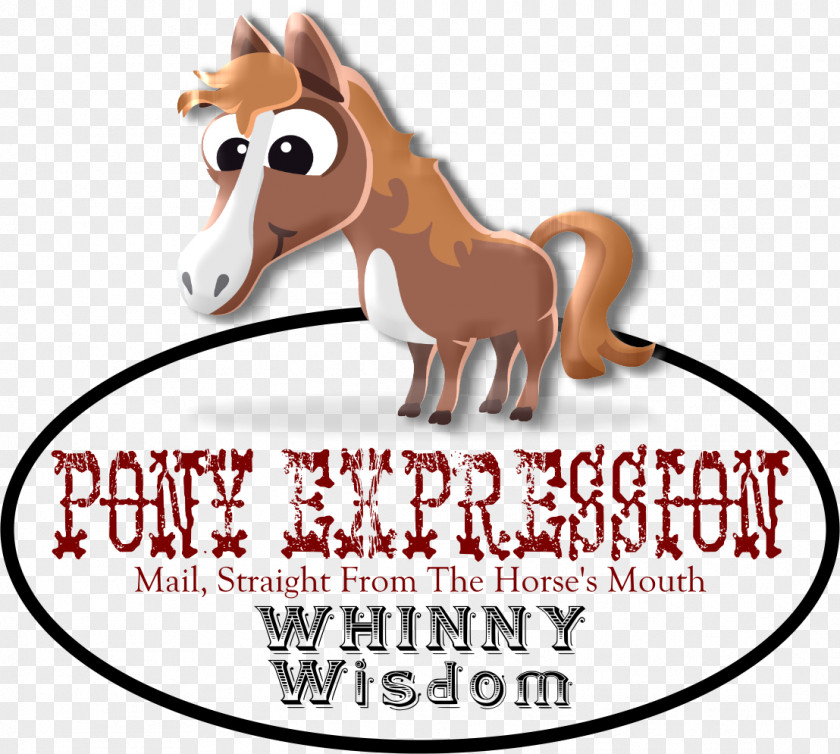 Home Decor And Gift Boutique Pony Mustang Hartselle Downtown Whinny Widsom Pack Animal PNG