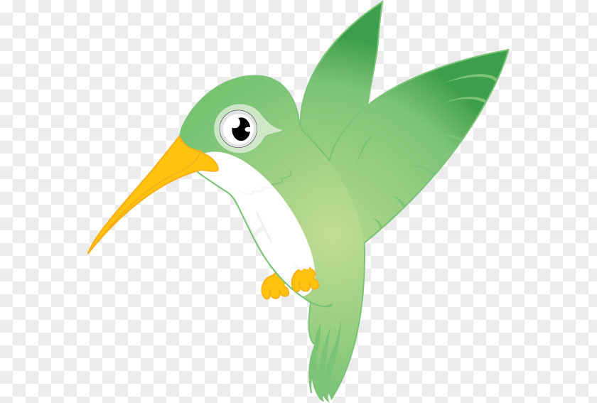 Hummingbird Bird Beak Cartoon Clip Art PNG
