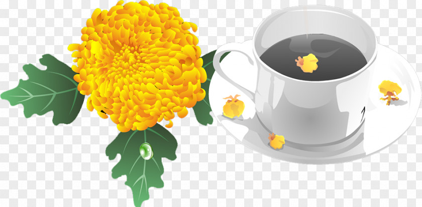 Chrysanthemum Green Tea Coffee Cup PNG