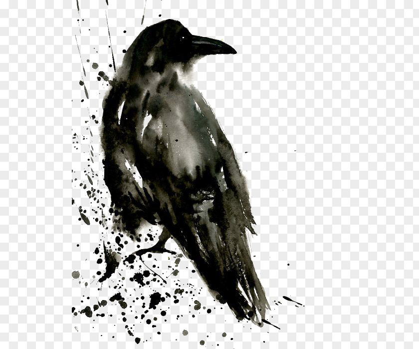 Crow Common Raven Watercolor Painting Tattoo The Shining Isle PNG