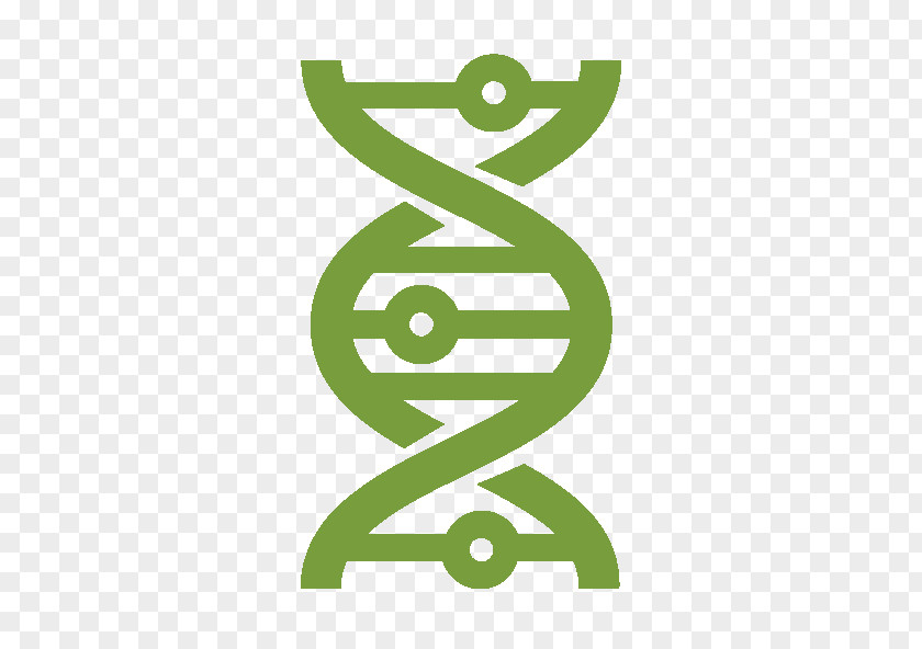 Dna Flow DNA Science Biology PNG