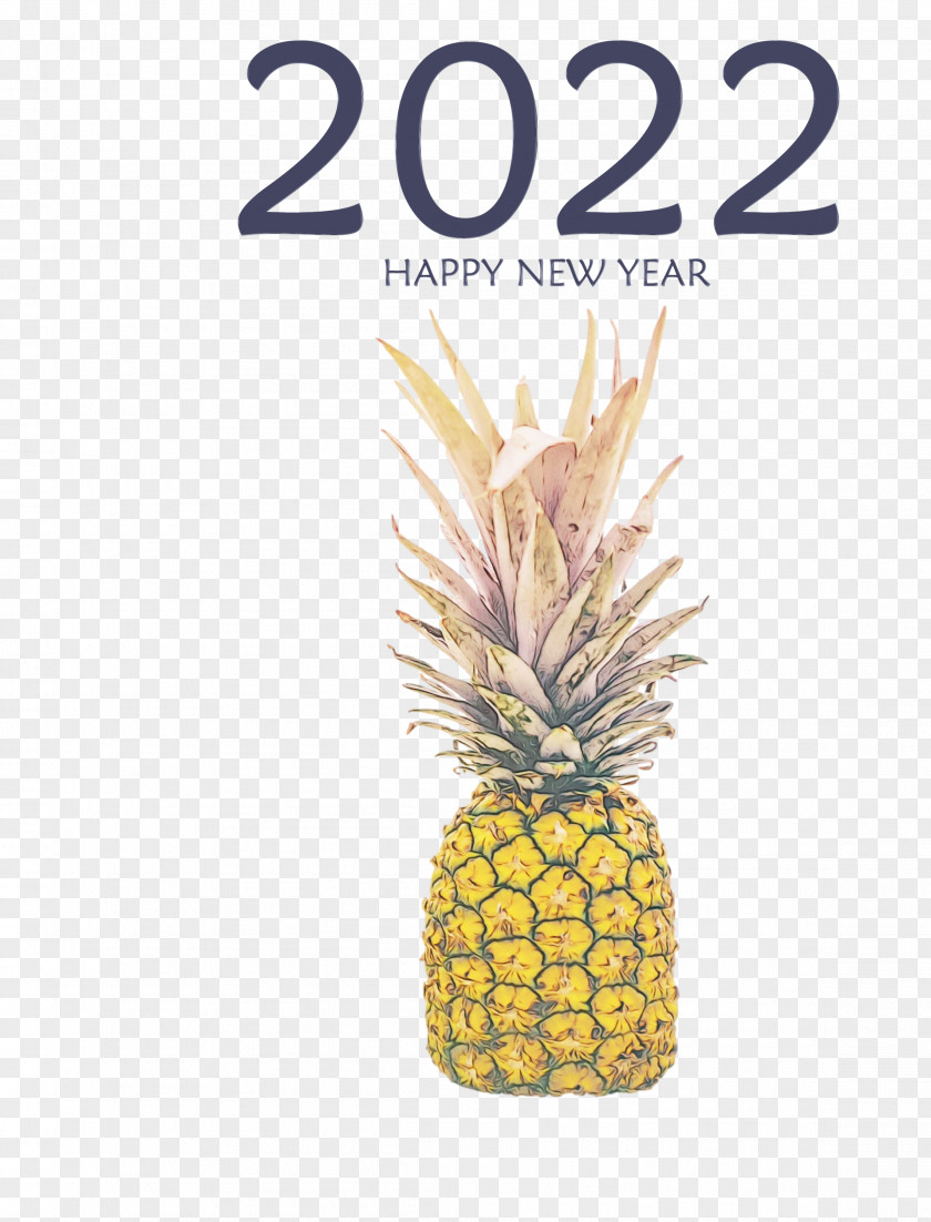 Pineapple PNG