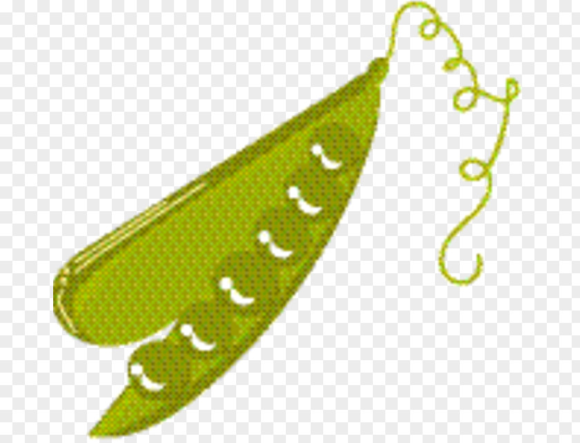 Plant Pea Green Leaf Background PNG