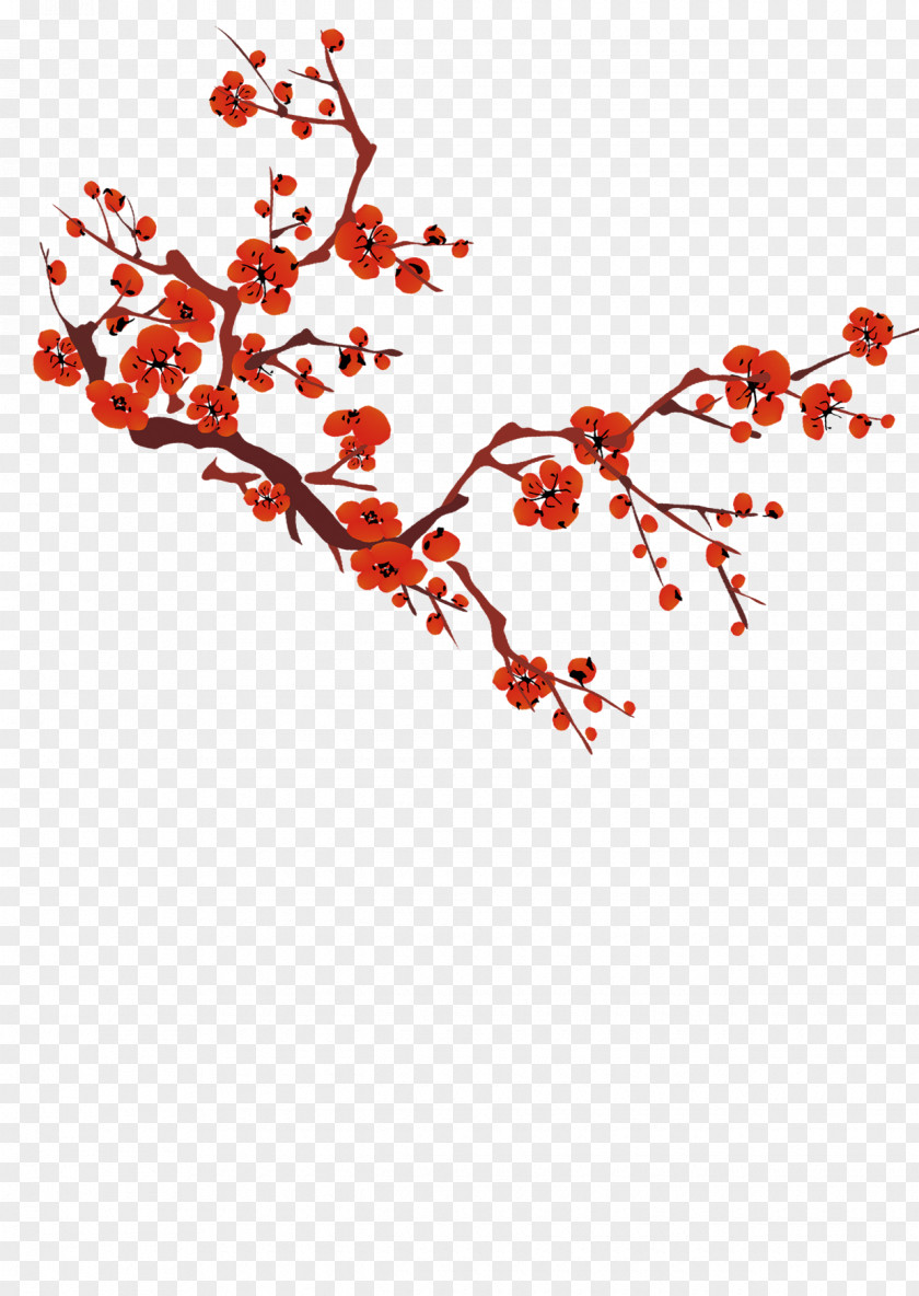 Plum Twig Blossom Qinqin Download PNG