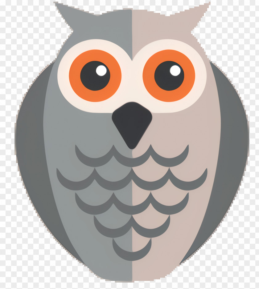 Screech Owl Eastern Cartoon PNG
