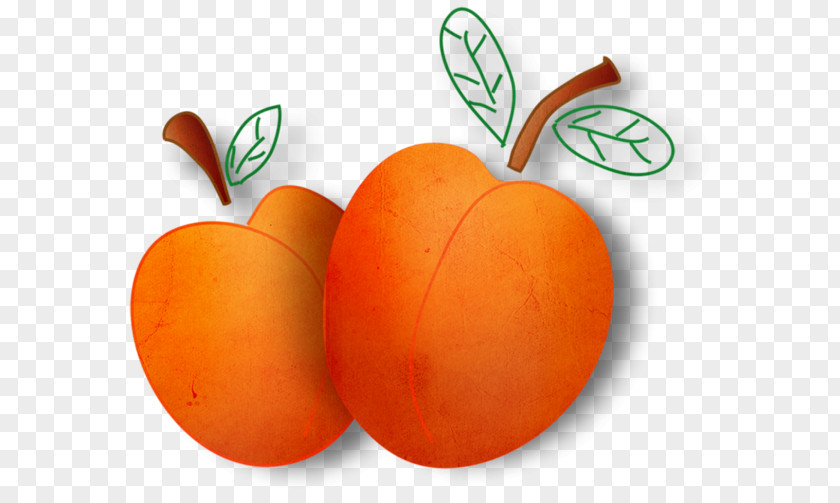 Vegetable Fruits Et Légumes Apelsin PNG