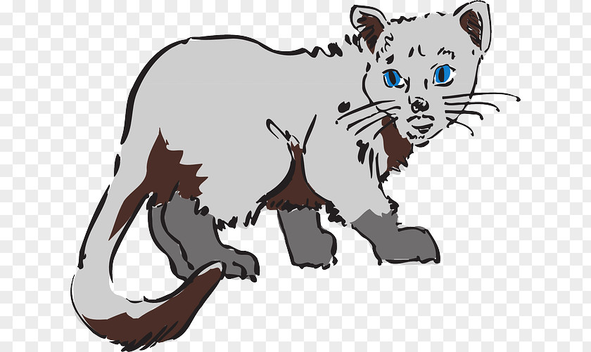 Cat Whiskers Tiger Lion Pet PNG