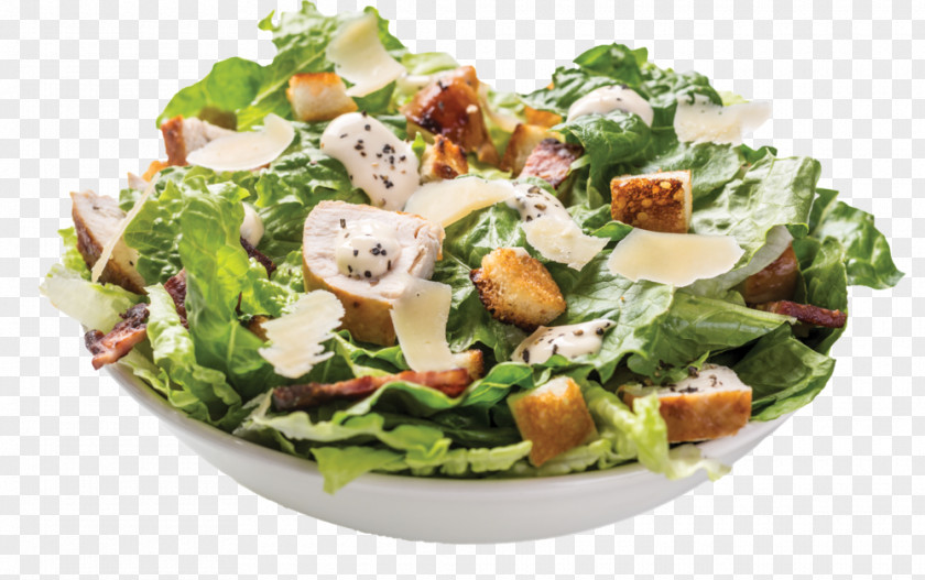 Chicken Caesar Salad Greek Stuffing PNG