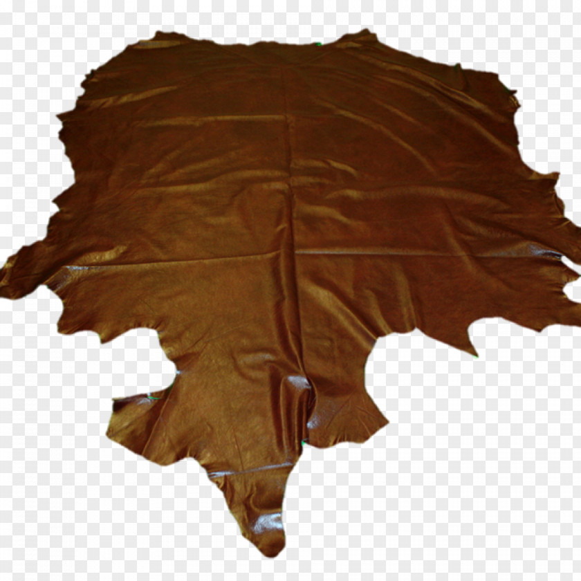 Cow Skin Leaf PNG