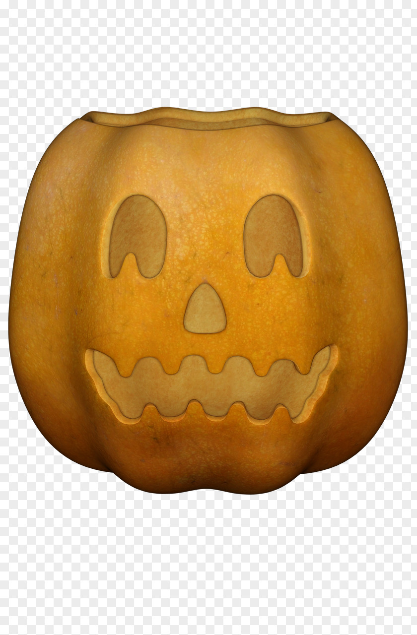 Halloween Pumpkin Pixabay Photograph Jack-o'-lantern PNG