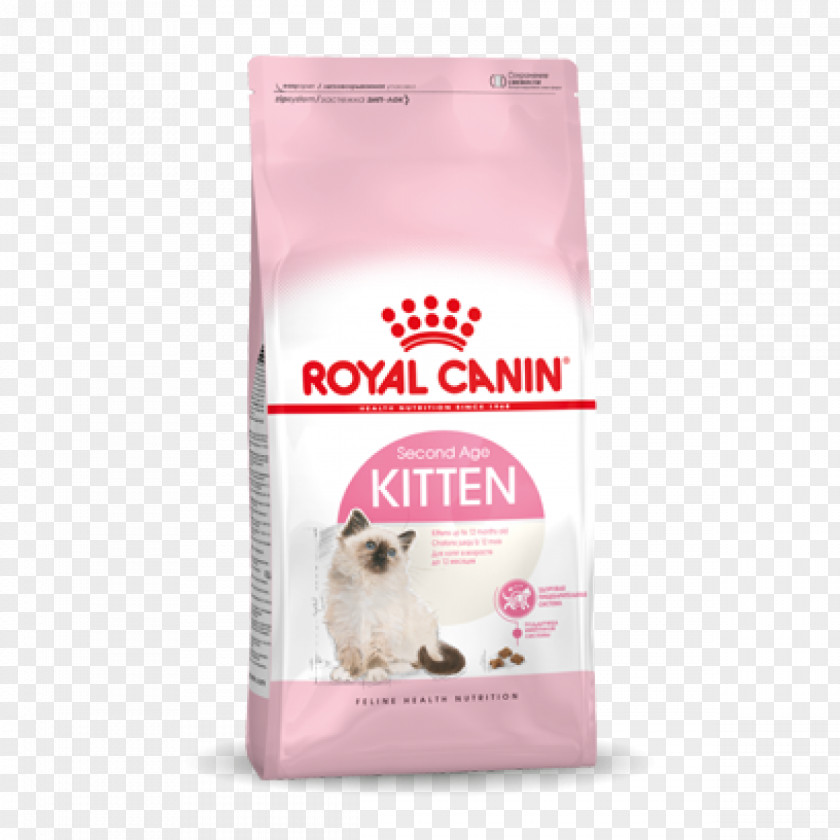 Royal Canin Mother & Baby Dry Cat Food Kitten Persian Dog PNG