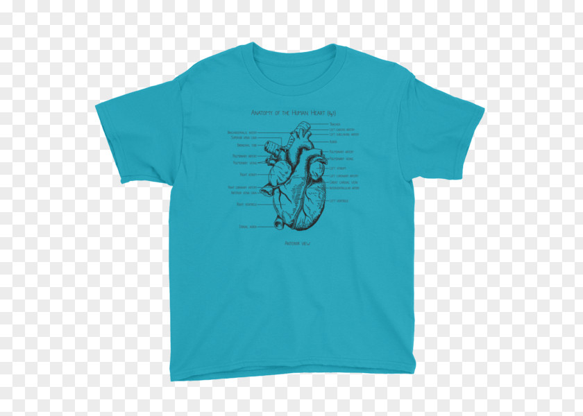Anatomic Heart T-shirt Nightwing Sleeve Clothing PNG