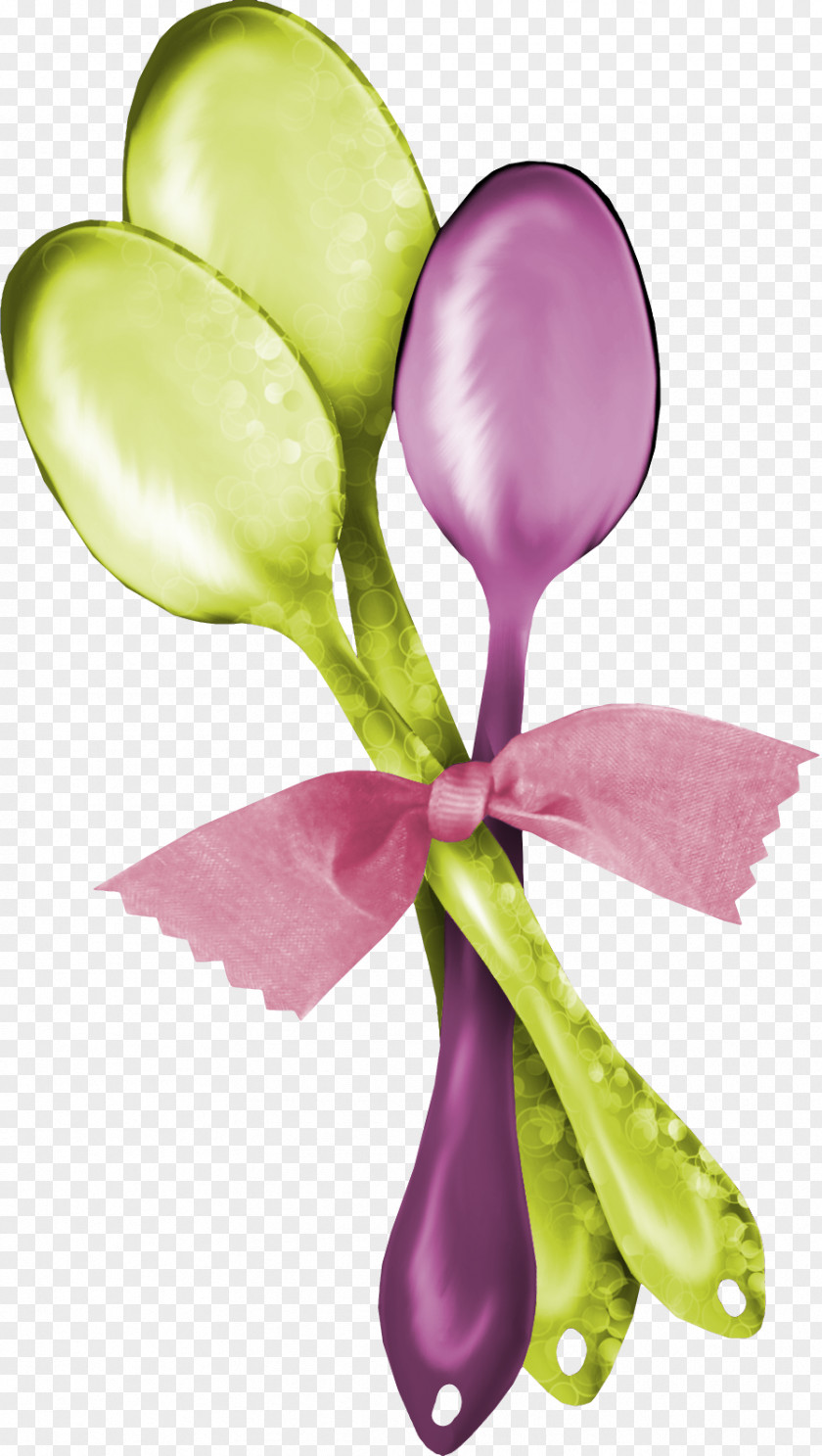 Color Spoon Tablespoon Ladle Soup PNG