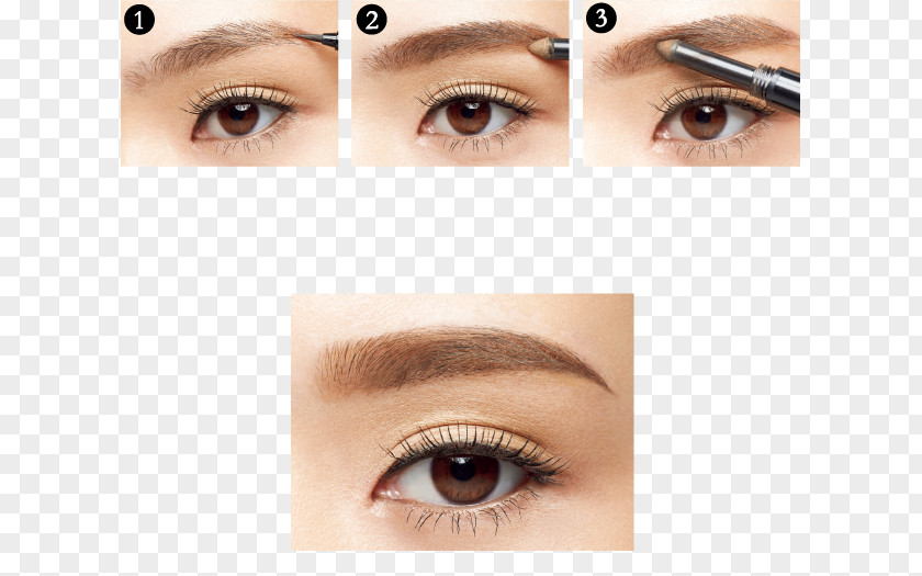 Eyebrow Cosmetics Nose Liquid PNG