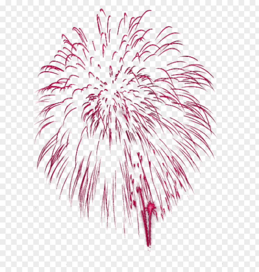 Fireworks Clip Art Image GIF PNG