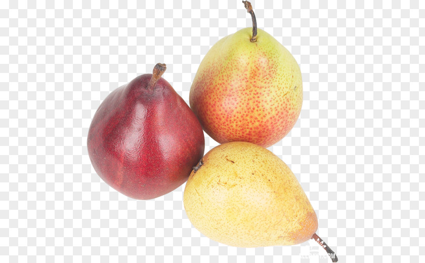 Pear Accessory Fruit Natural Foods PNG