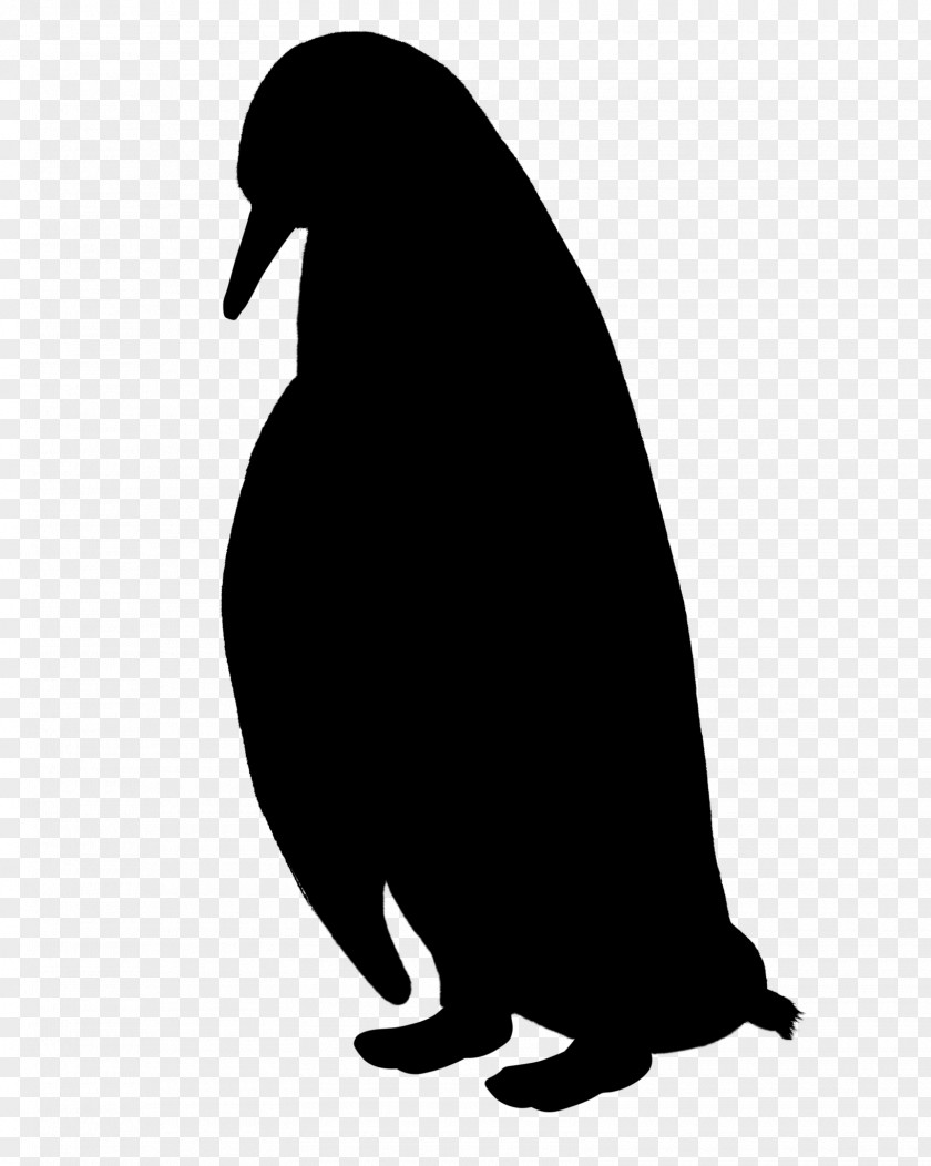 Penguin Clip Art Fauna Beak Silhouette PNG