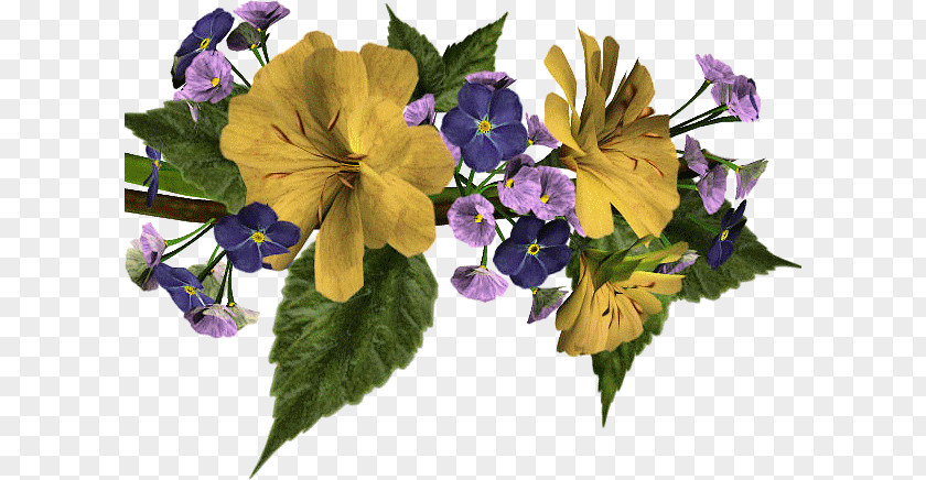 VK Blog Television Internet Forum Cut Flowers PNG