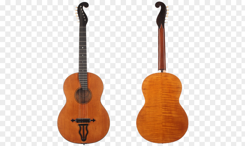 Bass Guitar Acoustic Ukulele Cuatro PNG