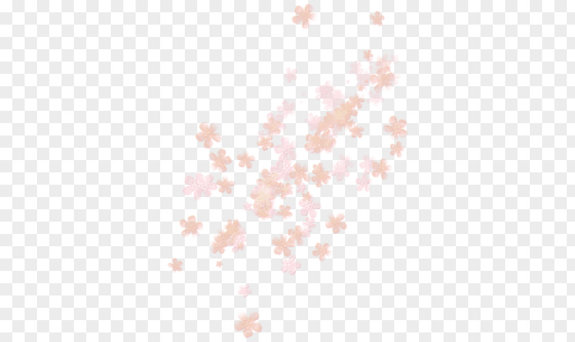 Cherry Blossom Flower Leaf PNG