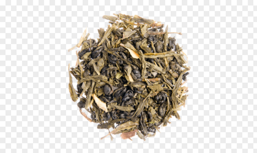 Lemon Verbena Nilgiri Tea White Dianhong Green PNG