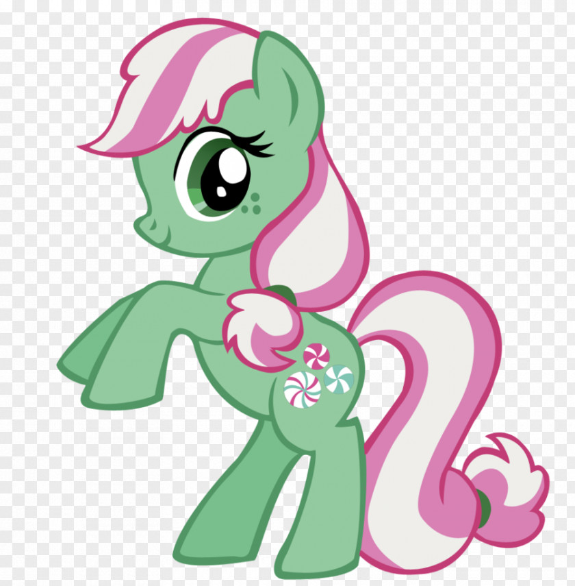 Little Pony Pinkie Pie Rainbow Dash Rarity My PNG