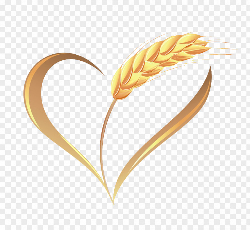 Wheat Harvest Ear Illustration PNG
