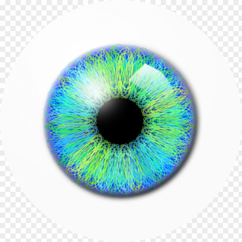 Blue-green Eyes Pupil Eye Clip Art PNG