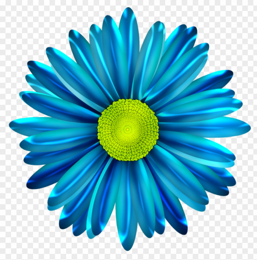 Daisy Common Blue Flower Clip Art PNG