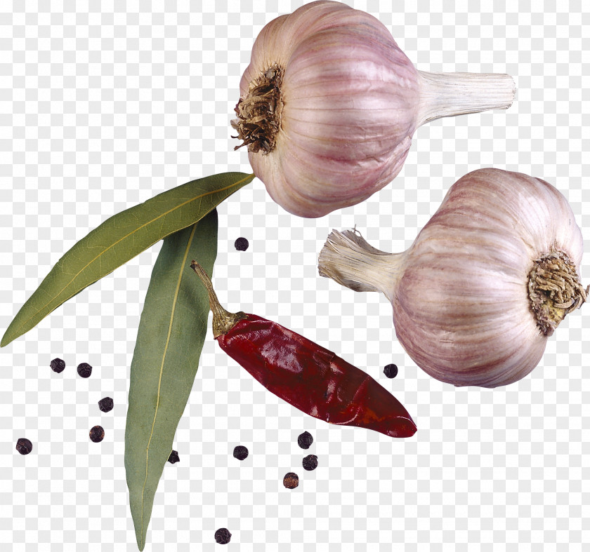 Garlic Seasoning Spices PNG