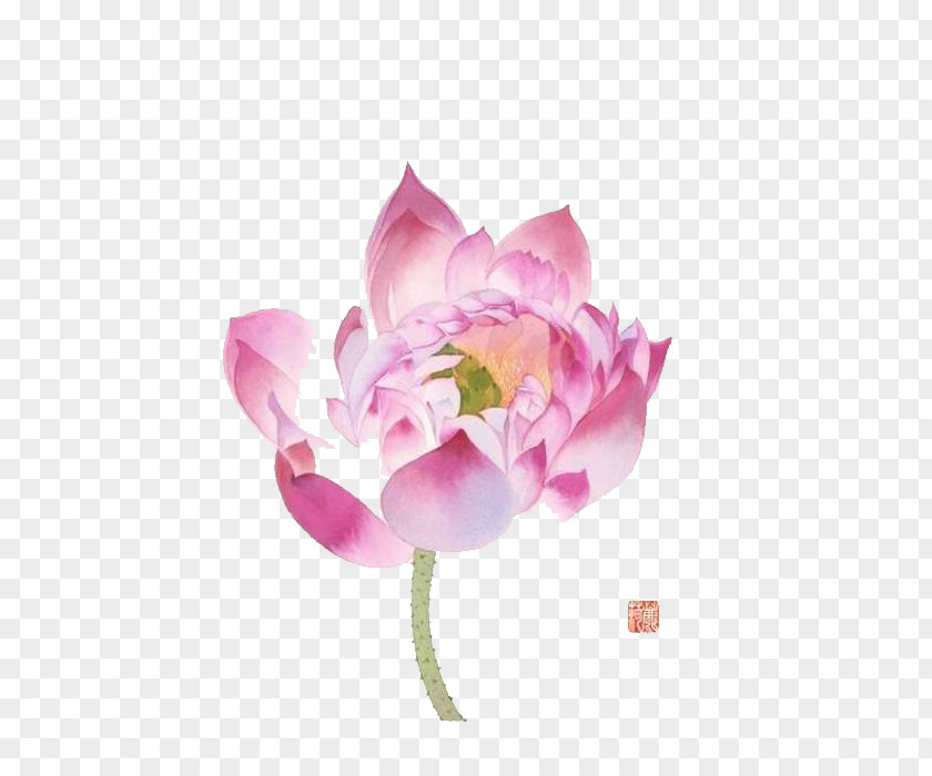 Hand-painted Lotus Watercolor Painting Cartoon Illustration PNG