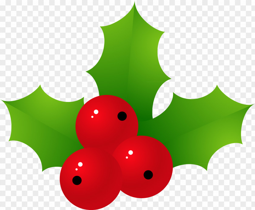HOLLY Holly Christmas Ornament Green Leaf PNG