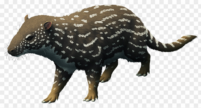 Paleocene Phenacodus Carnivora Ungulate PNG