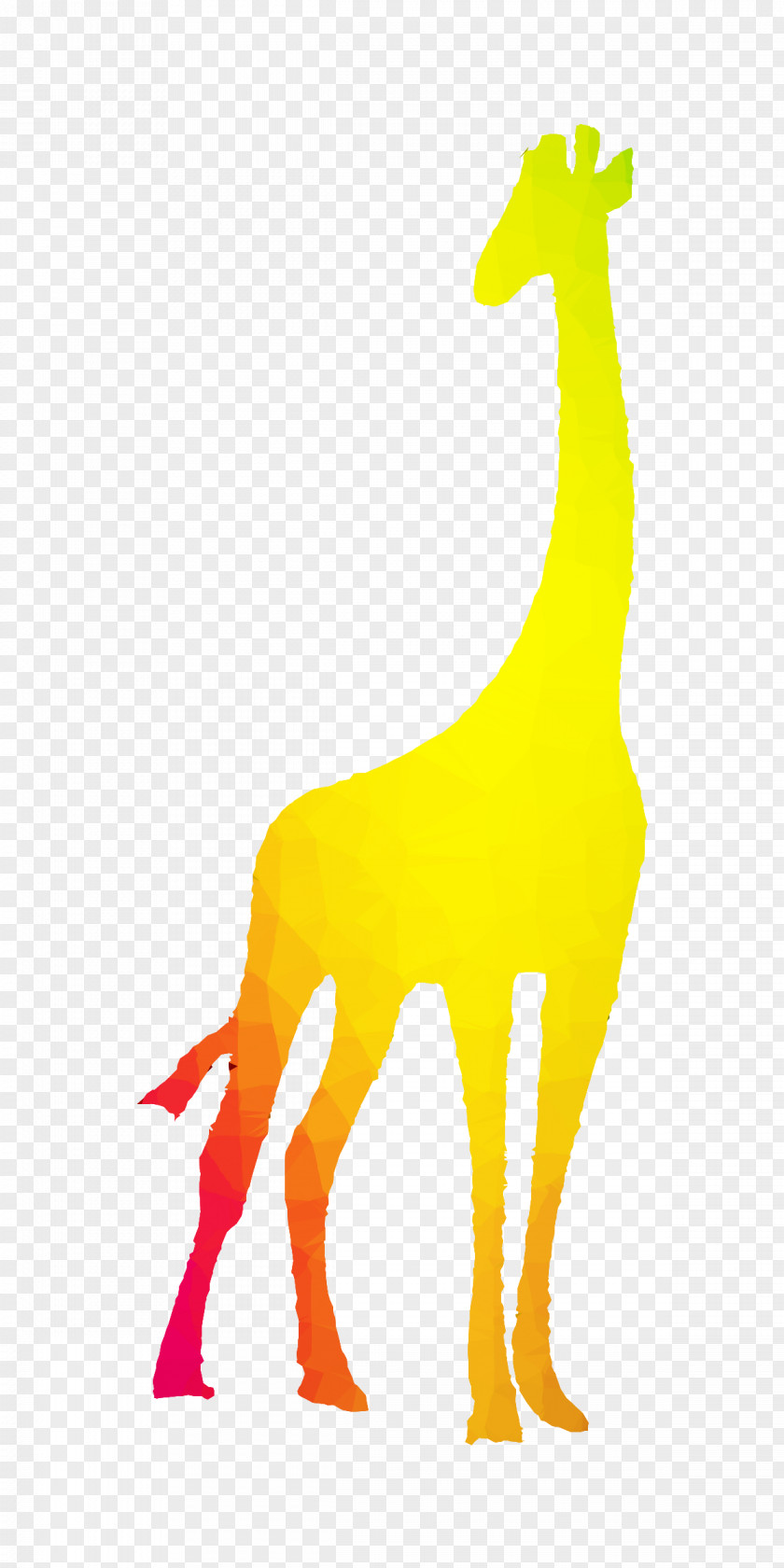 Wall Decal Sticker Giraffe PNG