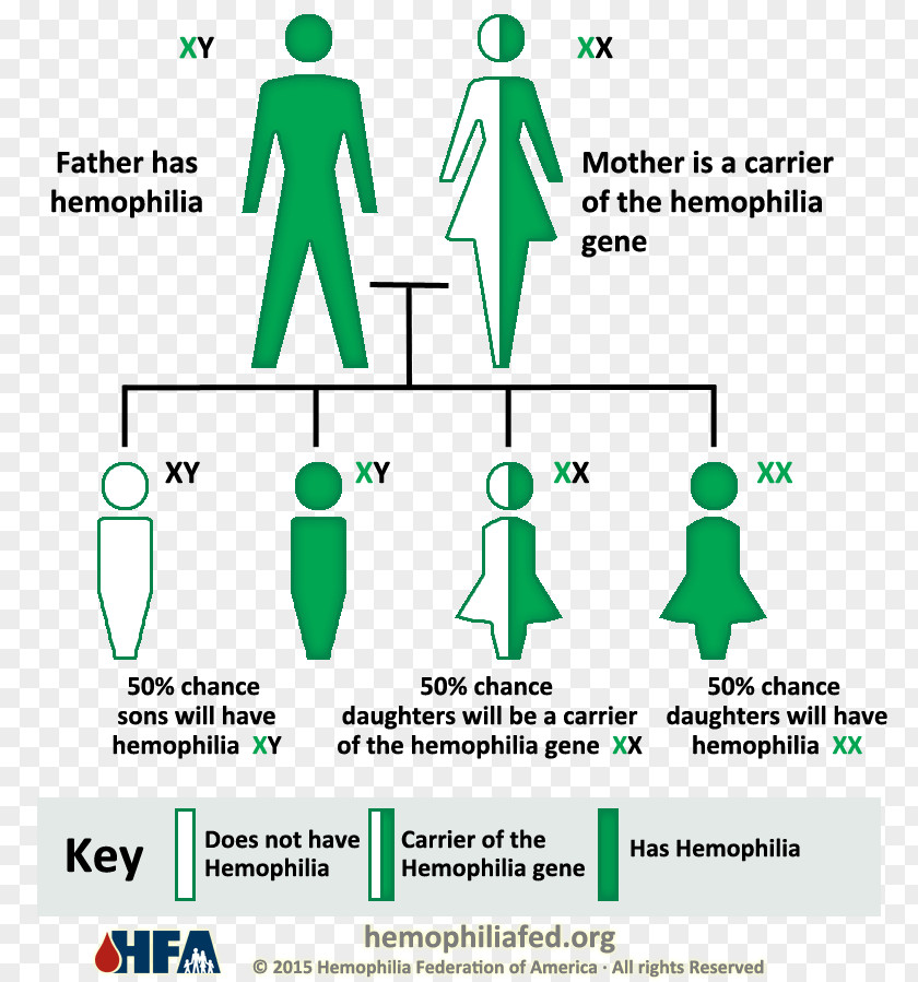 Blood Haemophilia A Genetic Disorder B Coagulopathy PNG