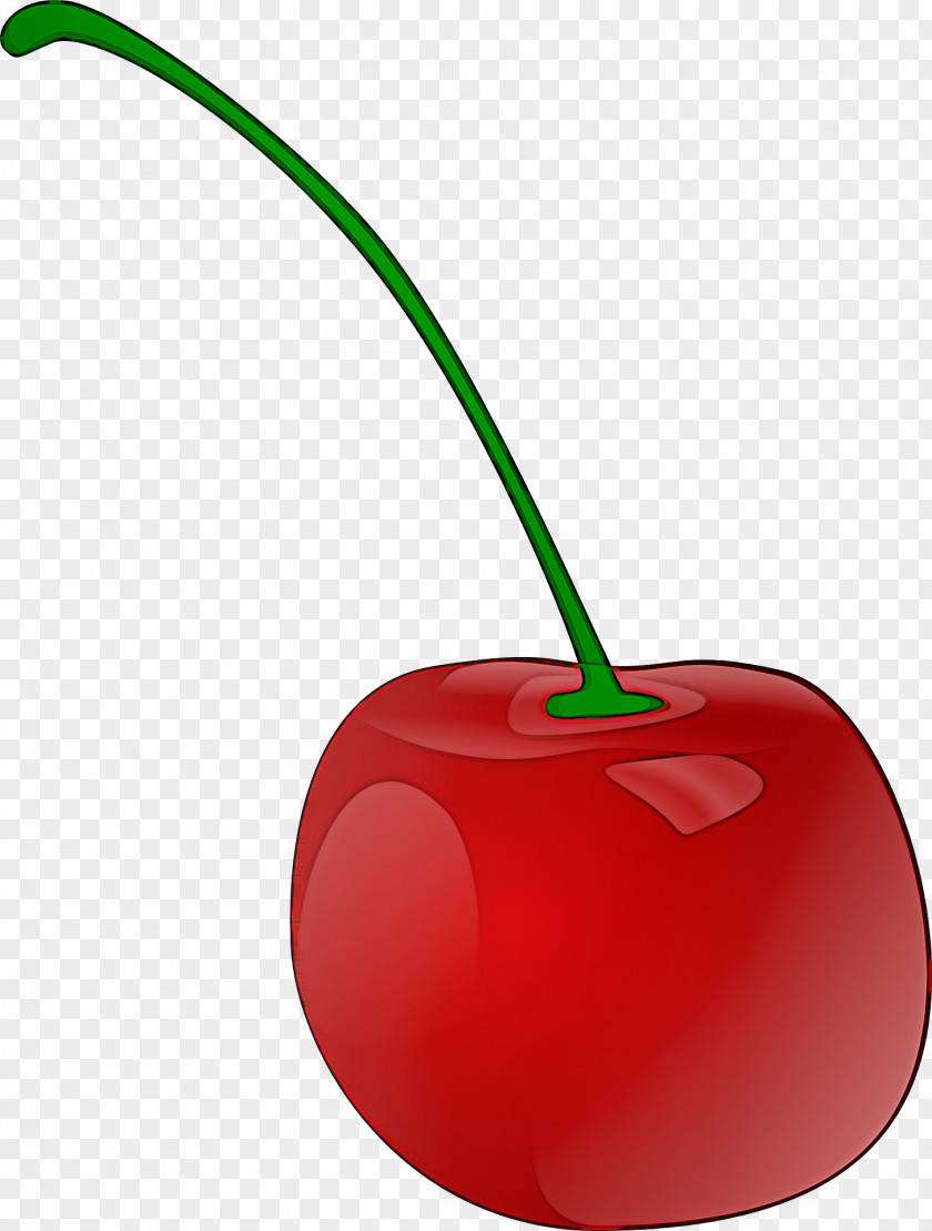 Cherry Fruit Plant Drupe Tree PNG