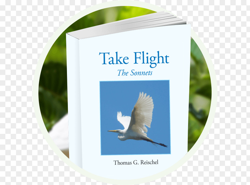 DOĞUM GÜNÜ Take Flight: The Sonnets Poetry Beak Travel PNG