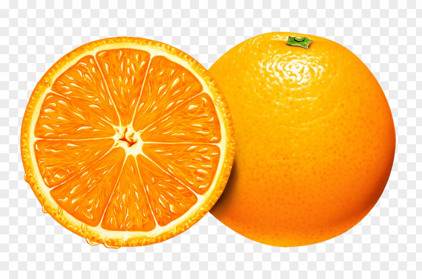 Orange Image Download Blood Clementine Tangelo Citron Tangerine PNG